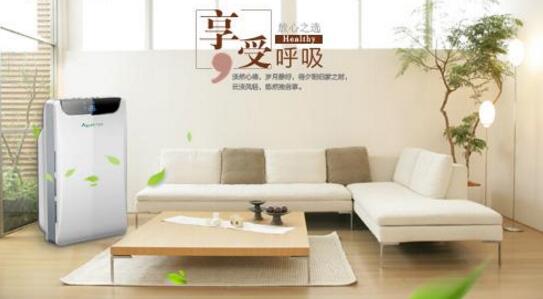 中過(guò)家庭耿適用哪種家用空氣凈化器