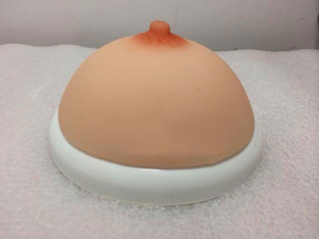 女性乳房模型帶乳暈催乳師培訓道具義乳模型